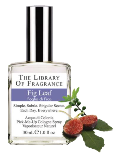 EdC Fig Leaf Library of Fragrance Fig Leaf ohne Hintergrund