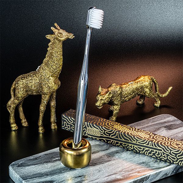 Zahnbürste Set Silber/Gold Zahnbürste Set Silber/Gold