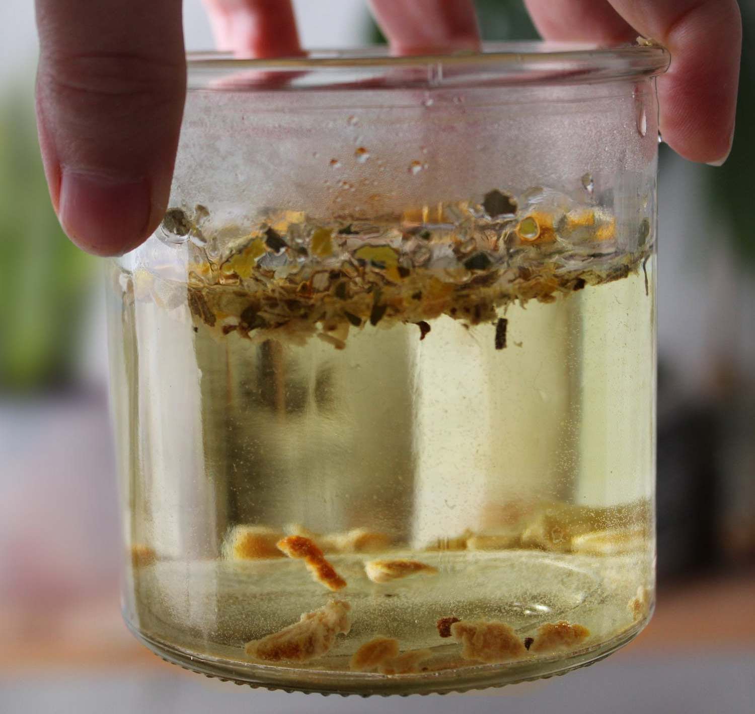 The Herbary - Haarspülung Naturblond The Herbary - Haarspülung Naturblond