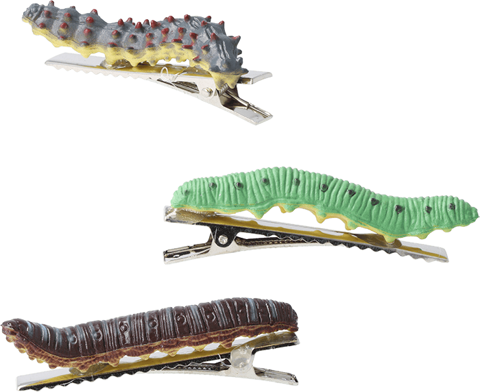 Haarspangen-Set Raupen Haarspangen-Set Raupen