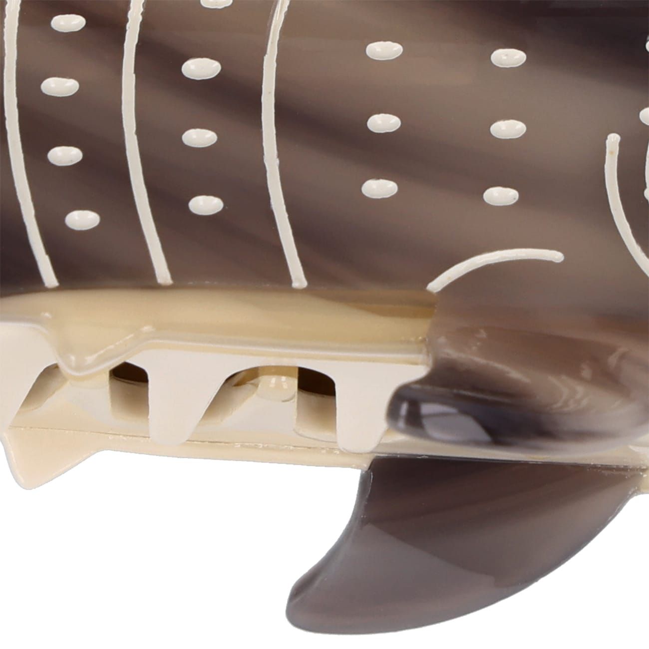 Haarkralle Walhai Haarkralle Walhai