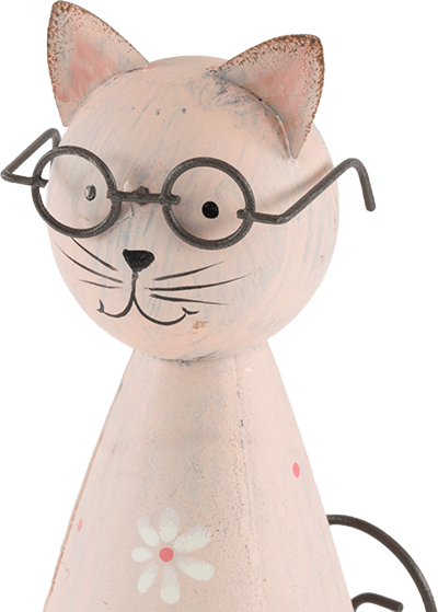 Kegelkatze rosa Kegelkatze rosa