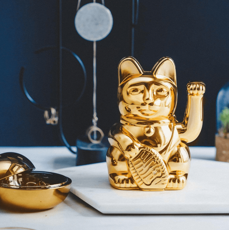 Winke-Katze Shiny Gold Winke-Katze Shiny Gold