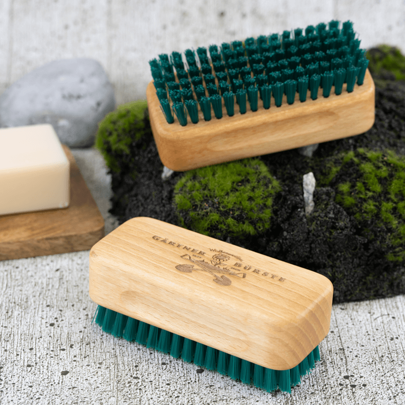 Gärtnerbürste Buche Gärtnerbürste Buche