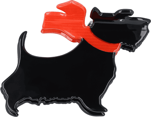 Haarkralle Terrier Haarkralle Terrier