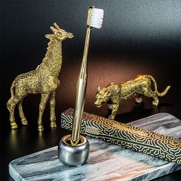 Zahnbürste Set Gold/Silber Zahnbürste Set Gold/Silber