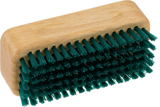 Gärtnerbürste Buche Gärtnerbürste Buche