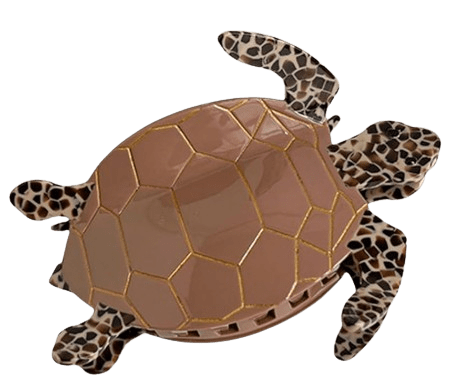 Haarkralle Schildkröte Haarkralle Schildkröte