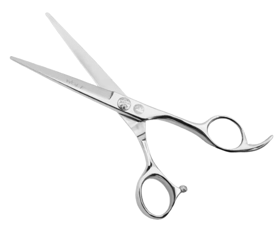 Haarschneideschere 15 cm Haarschneideschere Inox 5 cm ohne Hintergrund