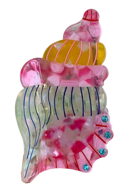 Haarkralle Muschel bunt