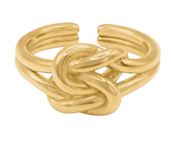 Ring Nanine Ring Nanine