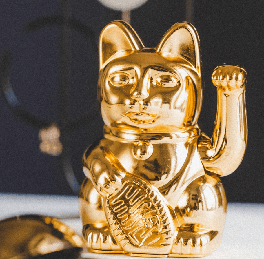 Winke-Katze Shiny Gold Winke-Katze Shiny Gold