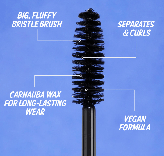 Big Fan Mascara Maximizing Big Fan Mascara Maximizing