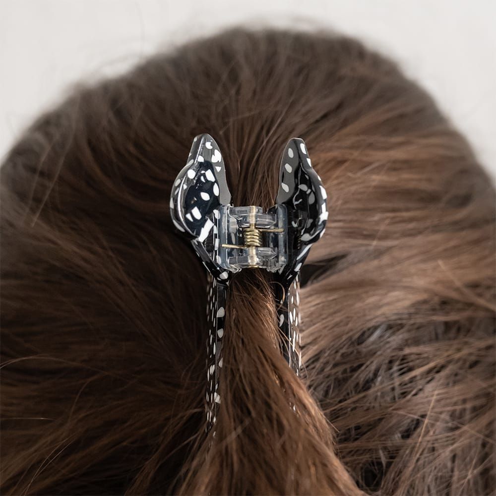 Haarkralle Hund Haarkralle Hund