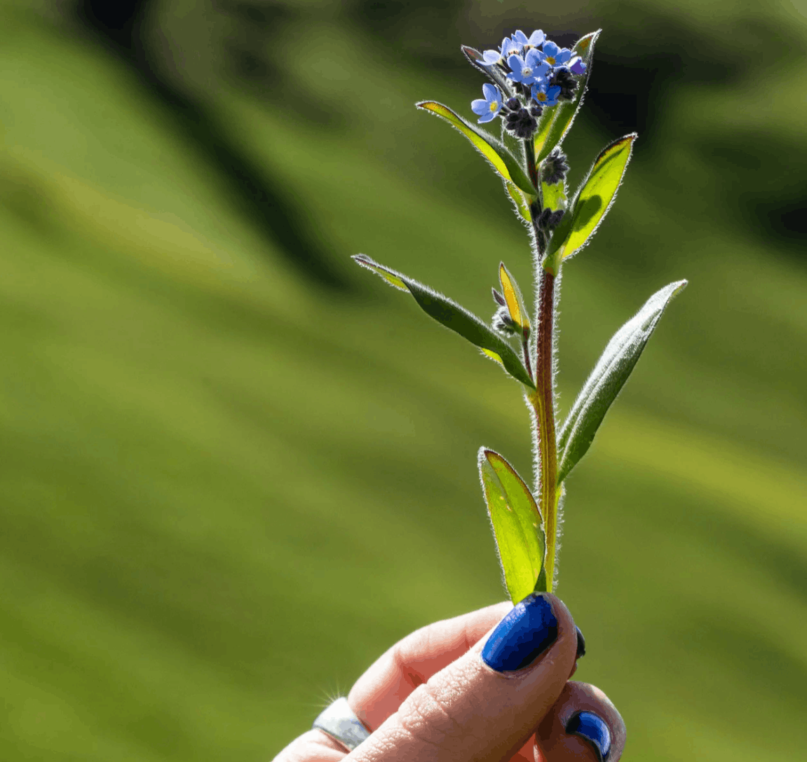 Aromastick Balance Aromastick Balance