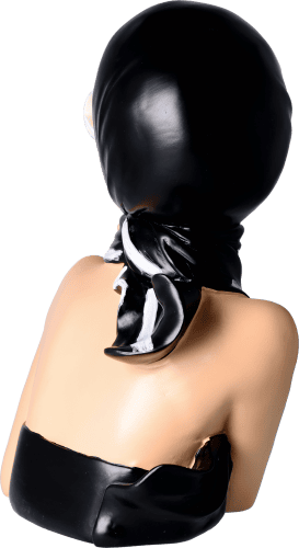 Lady Arrogant Lady Arrogant