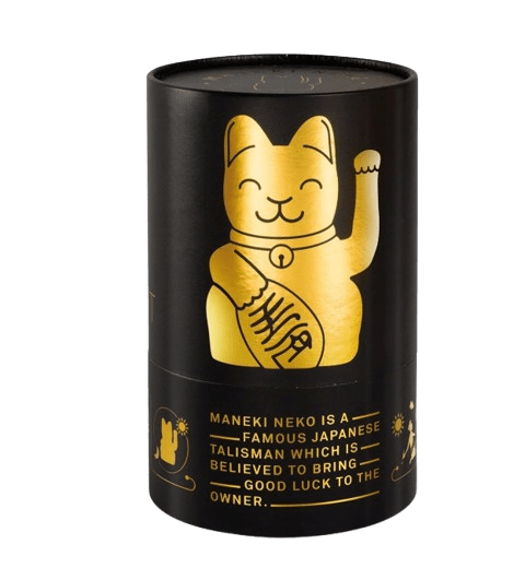 Winke-Katze Shiny Gold Winke-Katze Shiny Gold