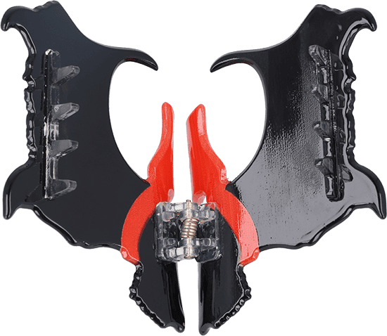 Haarkralle Terrier Haarkralle Terrier