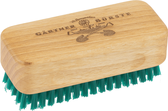 Gärtnerbürste Buche Gärtnerbürste Buche