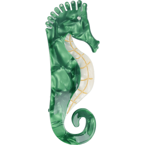 Haarkralle Seepferdchen