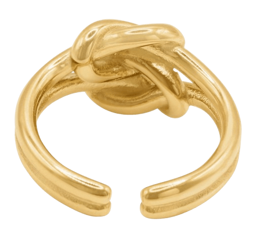 Ring Nanine Ring Nanine