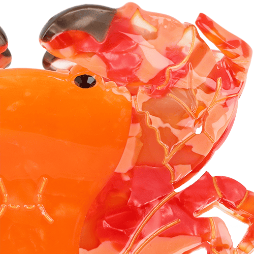 Haarkralle Krabbe Haarkralle Krabbe