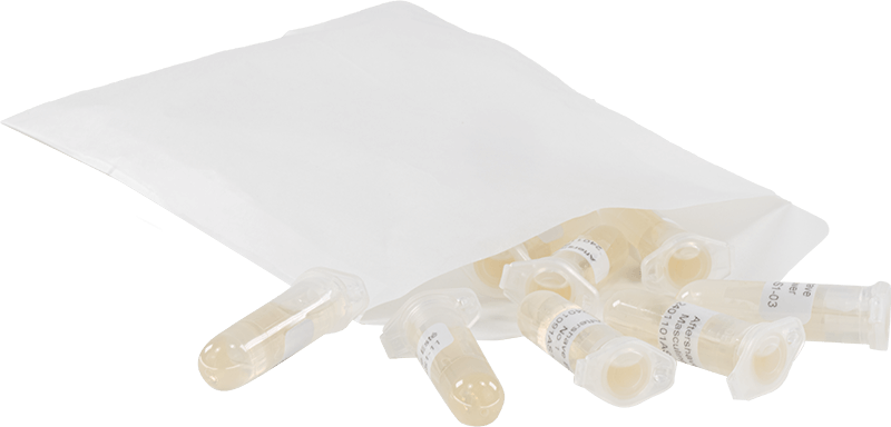 Wolkenseifen Aftershave Probenset