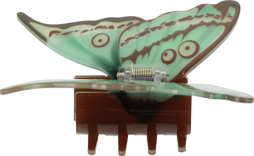 Haarkralle Falter Haarkralle Falter