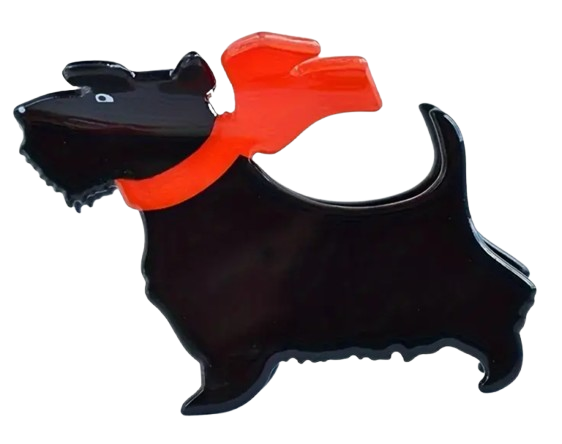 Haarkralle Terrier Haarkralle Terrier