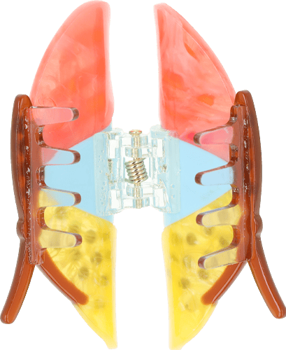 Haarkralle Schmetterling Haarkralle Schmetterling