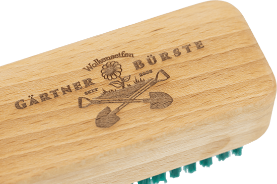 Gärtnerbürste Buche Gärtnerbürste Buche