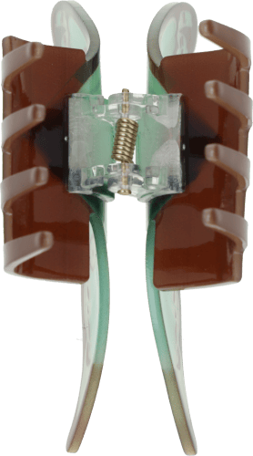 Haarkralle Falter Haarkralle Falter