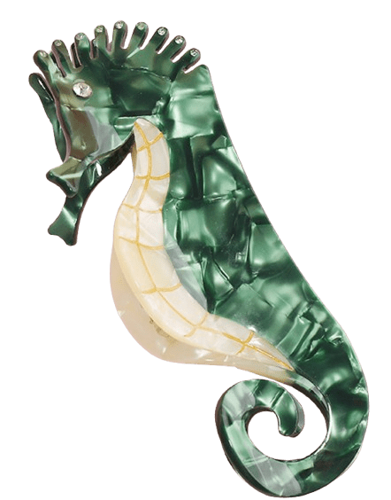 Haarkralle Seepferdchen