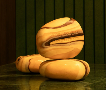 Stone Soap Snow Mushroom Stone Soap Snow Mushroom