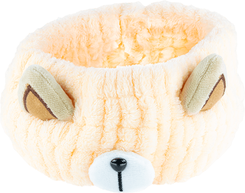 Make-Up-Haarband Hund ohne Augen ohne Hintergrund