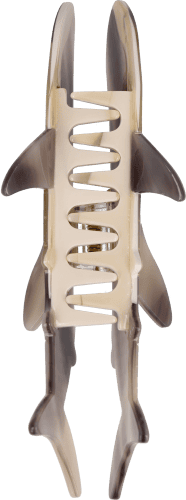 Haarkralle Walhai Haarkralle Walhai