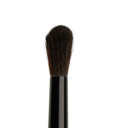 Blenderpinsel Blenderpinsel