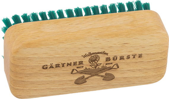 Gärtnerbürste Buche Gärtnerbürste Buche