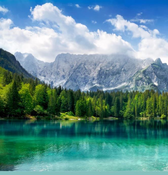 Sauna-Aufguss Alpen Zirbe