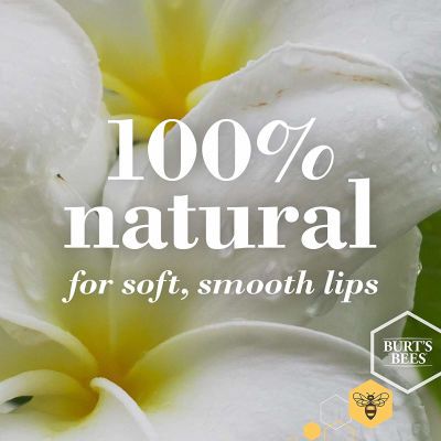 Tinted Lip Balm Hibiscus Tinted Lip Balm Hibiscus