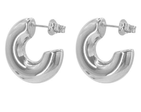 Ohrringe Caius Silber Ohrringe Caius Silber