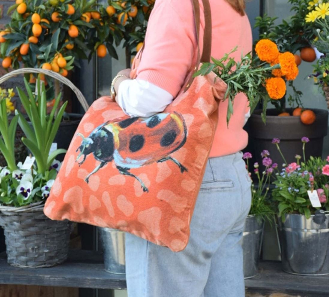 Shopper Ladybird