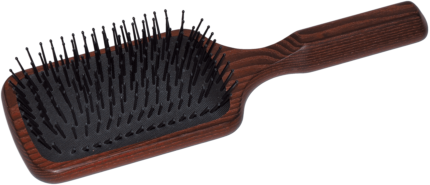 Paddle Brush Paddle Brush ohne Hintergrund