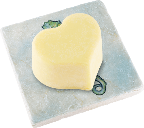 Kachelablage Seepferd