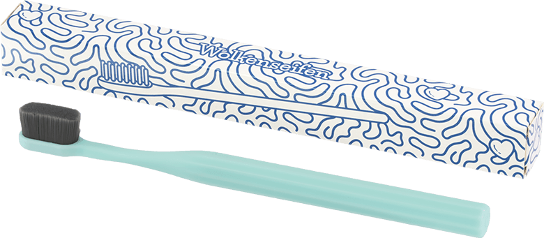 Wolkenseifen Nanozahnbürste Kohle