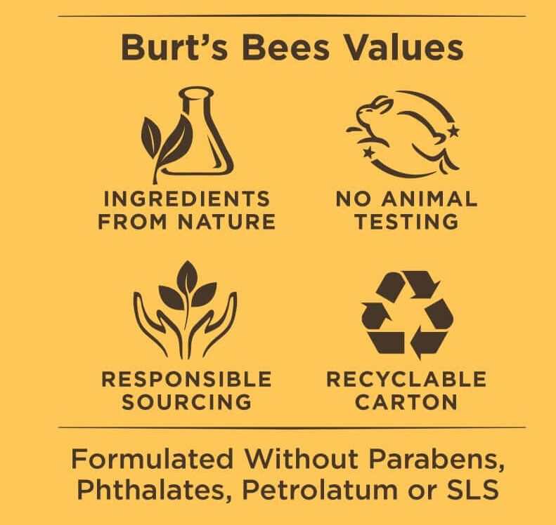 Salted Caramel Lip Balm Salted Caramel Lip Balm