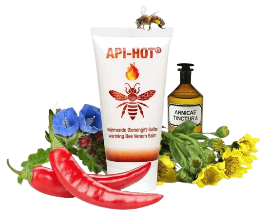 Wärmende Bienengiftsalbe Wärmende Bienengiftsalbe Api-Regent hot