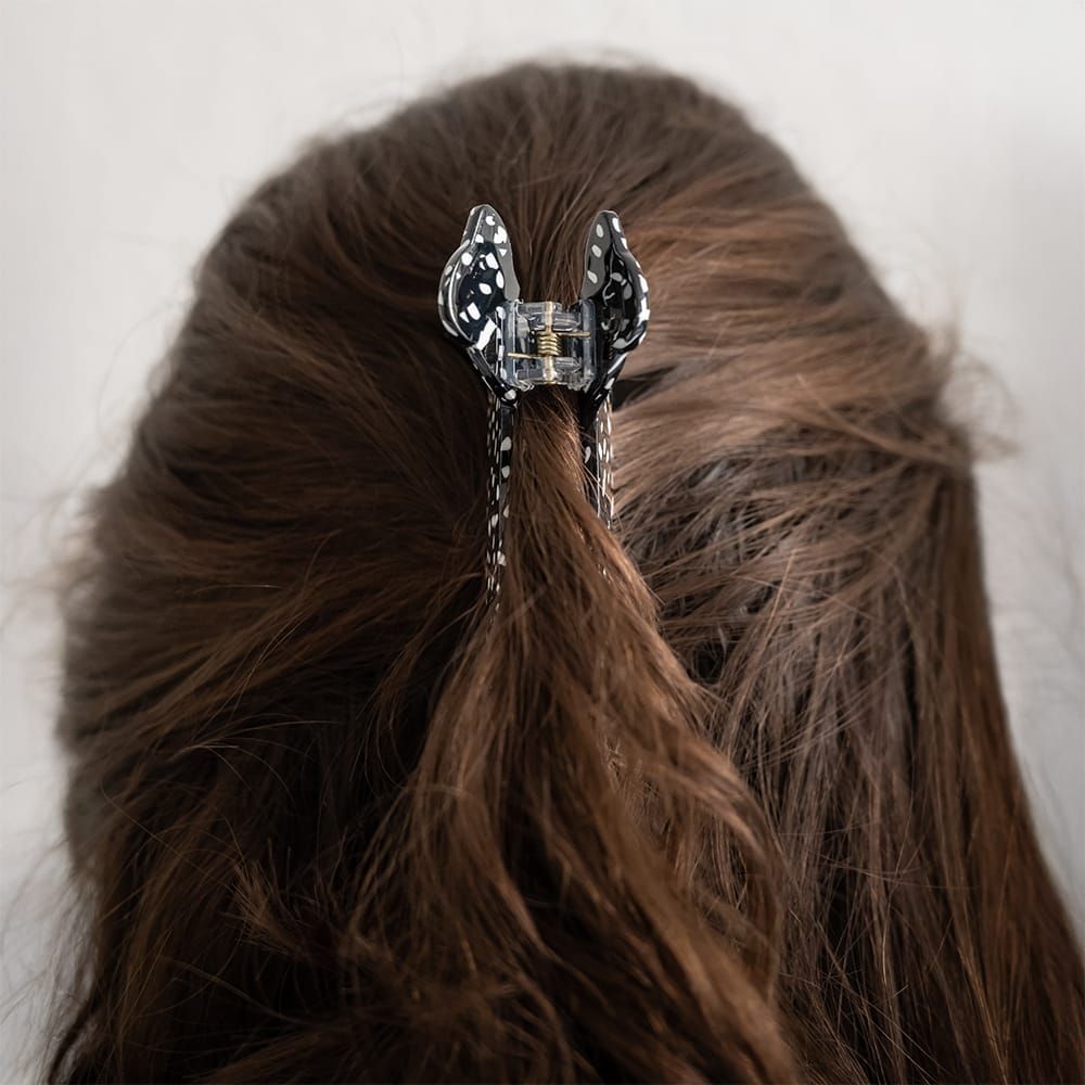 Haarkralle Hund Haarkralle Hund