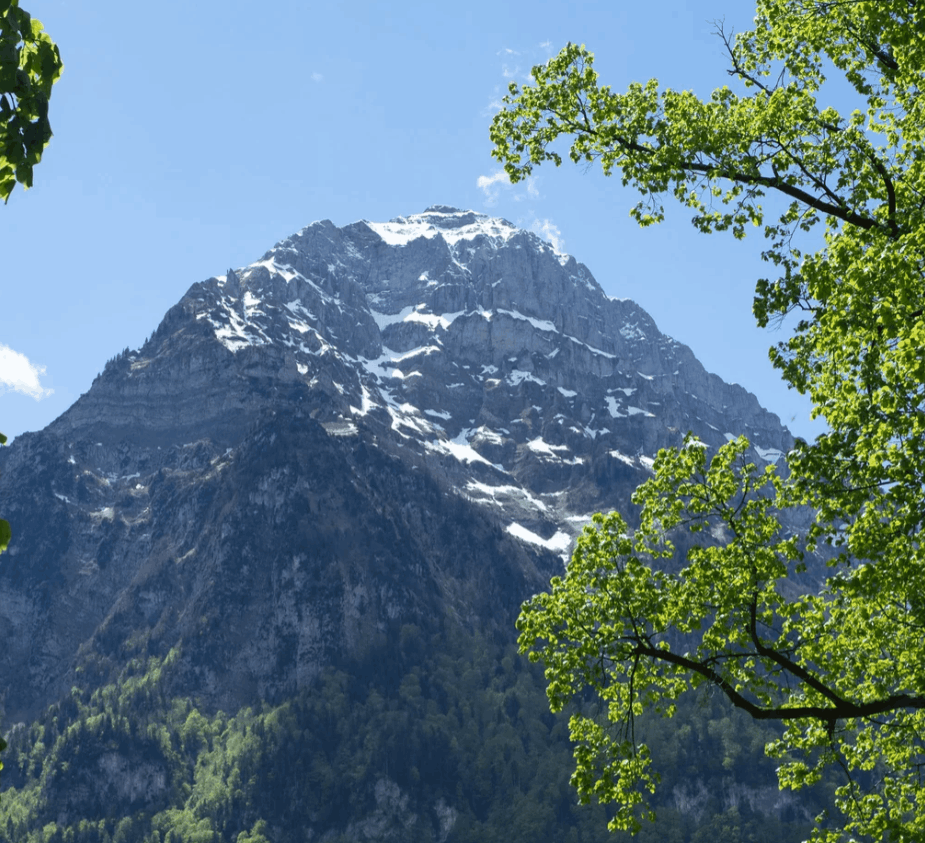 Aromastick Focus Aromastick Focus