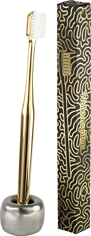Zahnbürste Set Gold/Silber Wolkenseifen zahnbürste Gold Silber